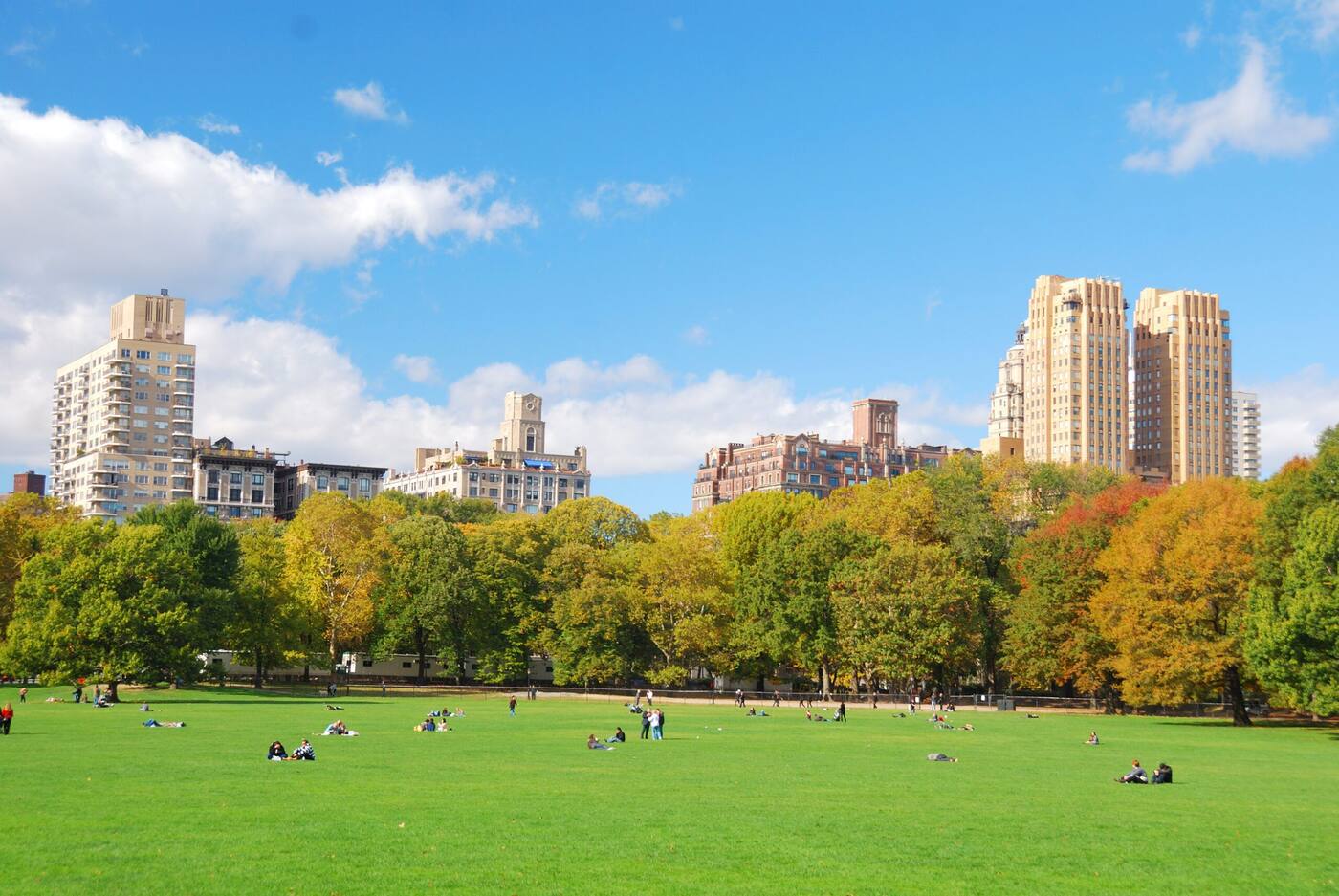 The Manhattan skyline seen across the lawns and lake of Central Park.